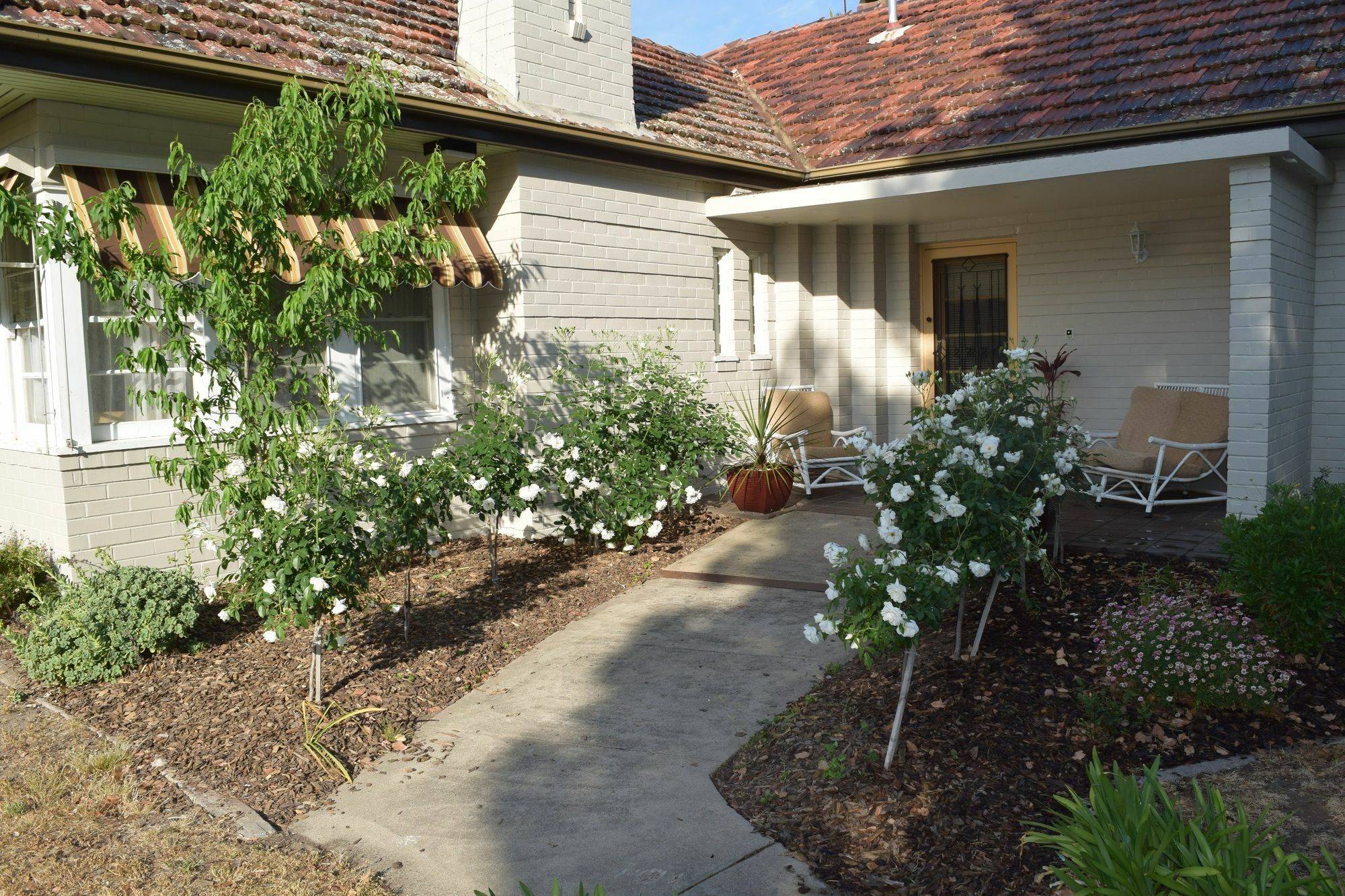 Benson House & Benson Lodge Benalla Exterior foto